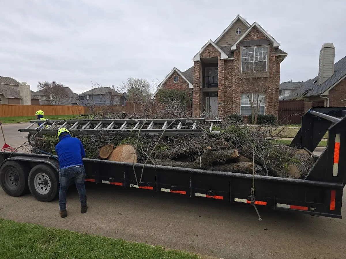 Expert Lot Clearing with proper safety equipment in Carroll